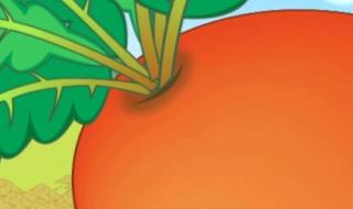 我是一个粉刷匠舞蹈