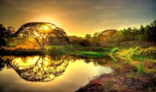 萨克斯多少钱一把 萨克斯多少钱一把