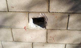 狗狗被卡住了怎么办 狗狗被卡住了怎么办