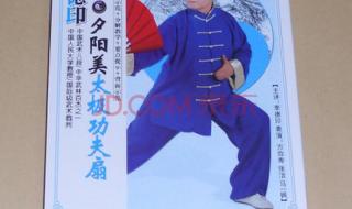 中国功夫太极扇教学