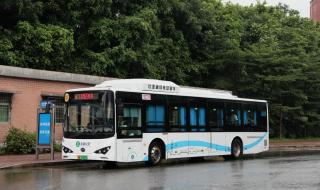 石岩什么时候解封 石岩什么时候解封