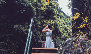 厦门野山谷生态乐园 厦门野山谷生态乐园