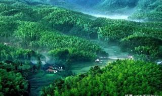 什么天下秀什么天下雄