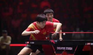 王楚钦樊振东男单决赛 王楚钦樊振东男单决赛